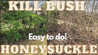 Eliminating Bush Honeysuckle | Small Acre Parcel | Land Management