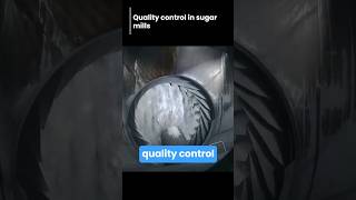 Quality control in sugar mils #sugar #factoryproduction #shorts