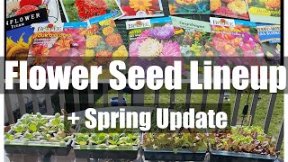 2023 Spring Update + Flower Seed Lineup [Adv.22]