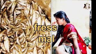 माला मॉल करदी 🤪🤪 eating fish curry 🐠 bini vlog family