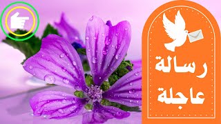 رسالة الليلة 📜 عاجلة لك 👈 أنت فاتح دلوقتي علشان من نصيبك ❤️