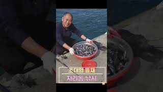 초대형 뜰채 자리돔 낚시 | 회 | 젓갈 | 구이