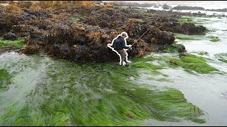 Pocket Fishing Booby-Trapped Eel Grass