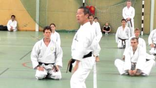 Kagawa-sensei demonstrates hipvibration in kagi-zuki