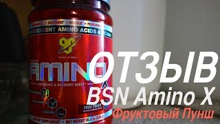 Отзыв о BSN Amino X (Фруктовый Пунш)