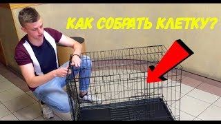 КЛЕТКИ СПБ РФ / КАК СОБРАТЬ КЛЕТКУ ДЛЯ СОБАК?!