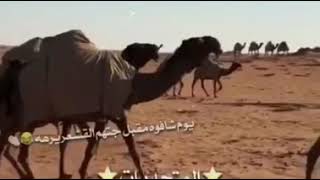 قعيد الشلاحي المطيري