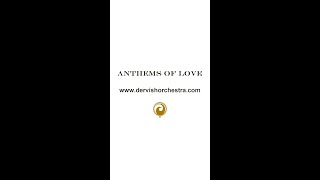 Anthems of Love, Dervish Orchestra #shorts