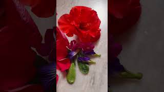 beautiful flowers art