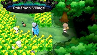 Pokémon X & Y Pokémon Village