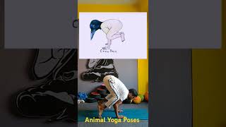 Animal Yoga Poses || yoga with gaurav