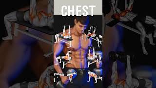 Chest exercises