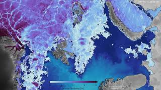 Sea-ice thickness and SST in a zoom of the central Arctic