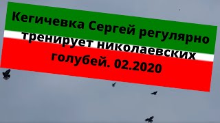 Кегичевка Сергей регулярно тренирует николаевских голубей. 02.2020