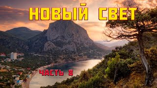 Поездка В Крым Новый Свет Часть 8 : Чуть не попали на ДВИГАТЕЛЬ , Сборы Домой , Поиск Коряги ???