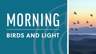 To the Earth Festival | Morning: Birds and Light