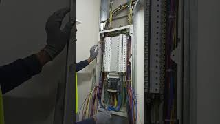 three phase panel board termination