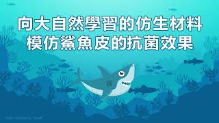 【向大自然學習，啟發仿生材料研發】師法自然–更輕、更強、更韌的仿生材料