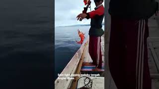 Mancing Ikan kerapu merah