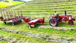 Baling Hay On A Small Family Farm l 2nd Crop Alfalfa Hay l (2024 Hay Season)