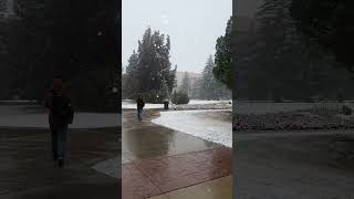 Another snowy video from the same magical day in Laramie! #wyoming #usa #snowfall #winterishere