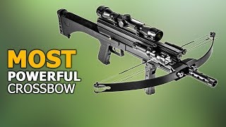 Most Powerful Crossbow in the World - 5 Best Crossbow