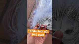 Gửi 1000m lưới về đảo Phú Quốc #luoidanhcaatrung #reviewluoichai