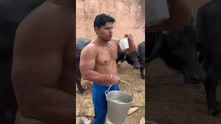 Desi protien diet from Haryana !! Arvindmahala #desiathlete #athlete #haryana