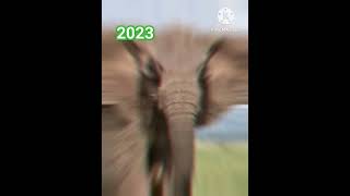 2023 elephant image and 5000 bce elephant image