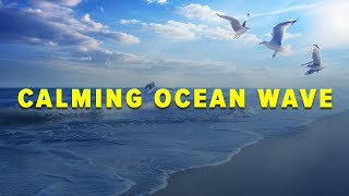 Calming Ocean Wave and Birds Chirping Sound- Relaxing Music for Stress Relief and Healing