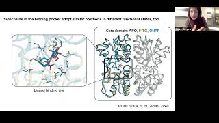 How local changes in secondary structure flexibility can drive protein function