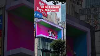 3d cat billboard in Shinjuku📍 #tokyo #shinjuku #indianinjapan #billboard #3d #cat #exploringjapan