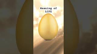 The Egg - Why Are We Here? #shorts #shortstory #life