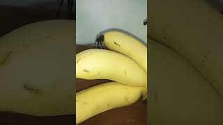 LARGE BANANA LATONDAN  #shorts #youtubeshorts #largelatondan