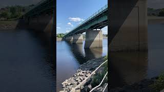 Ducks at Low Tide | Downtown Bangor