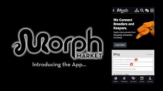 The MorphMarket App