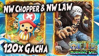 120x GACHA NW. LAW & NW. CHOPPER yang MEMBAGONGKAN "2 2 nya GG" 🔥 ONE PIECE BURNING WILL