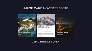 CSS Image Card Hover Effects | CSS Image Card Effects