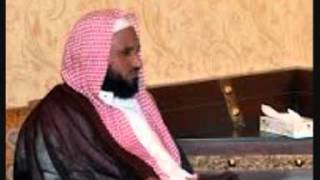 ما حكم الشرع في لبس البنطال للمرأة ؟ الشيخ محمد بن محمد المختار الشنقيطي