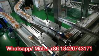 Automatic carton loading and sealing machine