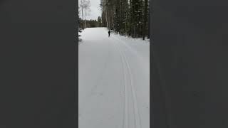 Nordic skiing, first attempt for Nicki!