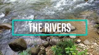 The RIVERS | Cinematic nature video | Nature video 4K