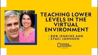 Teaching Lower Levels in the Virtual Environment