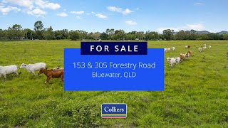 Forestry Road, Bluewater - For Sale by EOI