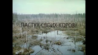 Пастух своих коров (2002)