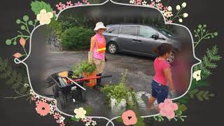 IBSSA Beautification Ainsley Place