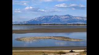 Variazioni dei livelli dei laghi e clima. Le spiegazioni del dott. Samuele Venturini