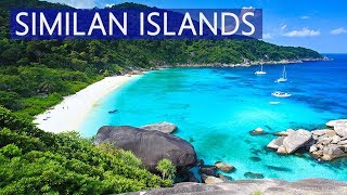 Similan Islands Day Tour by Speed Boat | Price | Review | Avitip