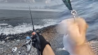 18/08/2023 🎣 Pesca in scogliera a light spinning - TEST COOAU SPC-05 2023