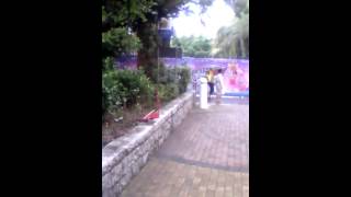 VID 20150724 171127